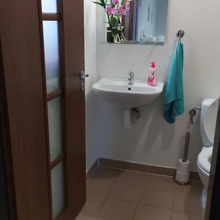 公寓 Apartmany Orlova Orlová