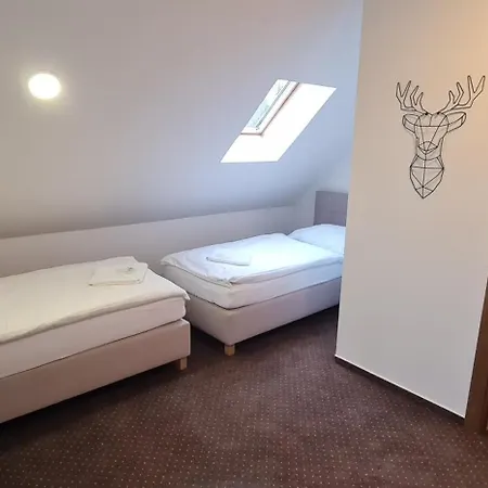 Apartmany Orlova *