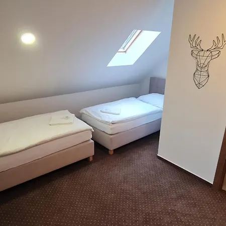 公寓 Apartmany Orlova