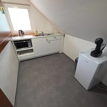 Apartmany Orlova 公寓 *