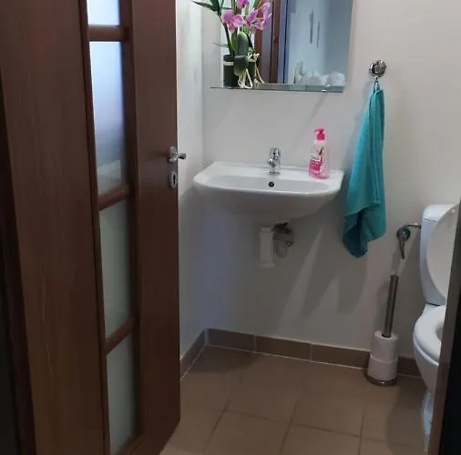 Apartament Apartmany Orlova Orłowa