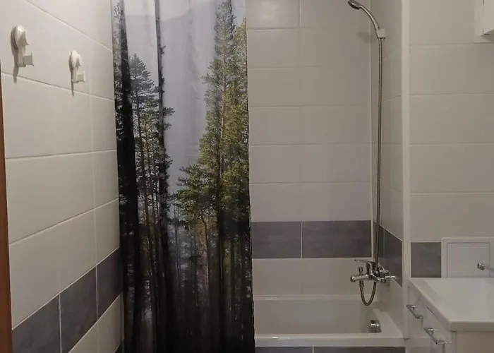 Apartmany Orlova Apartament