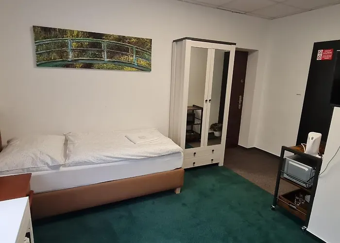 Apartmany Orlova * Orłowa