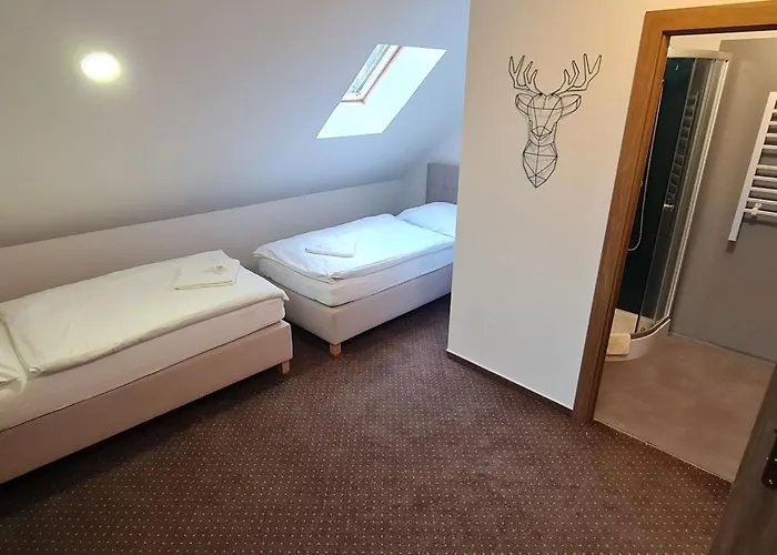 Apartament Apartmany Orlova *