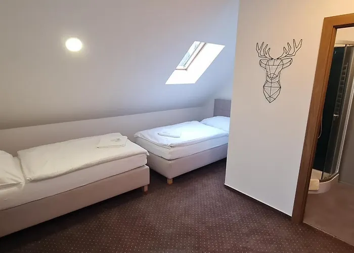 Apartmany Orlova *