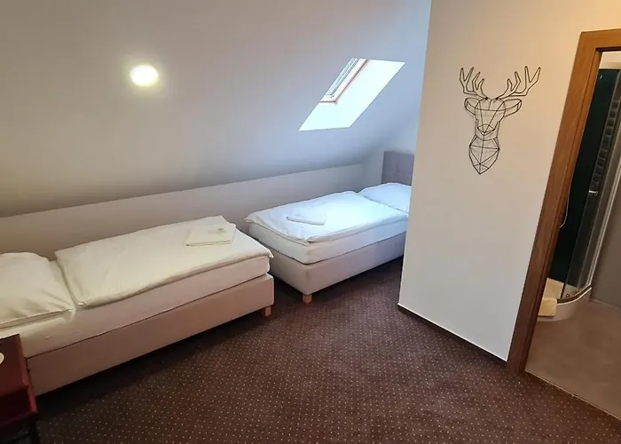 Apartament Apartmany Orlova