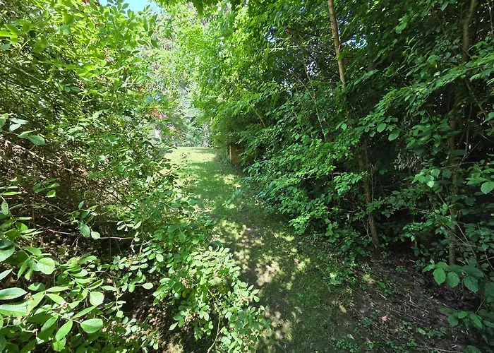 Apartmany Orlova * Orłowa
