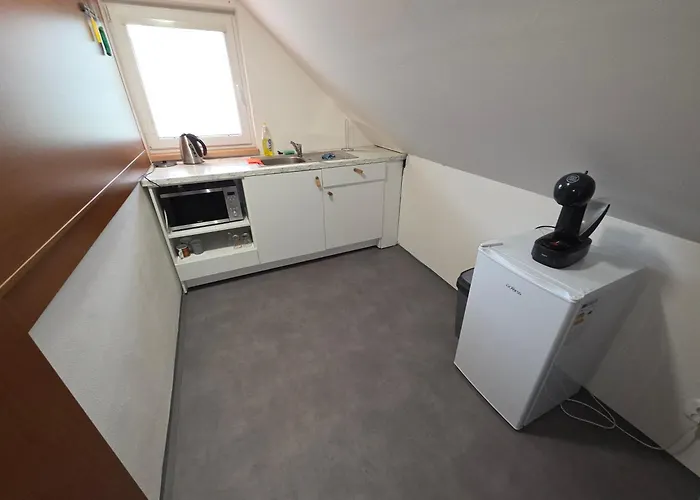 Apartmany Orlova Apartament *