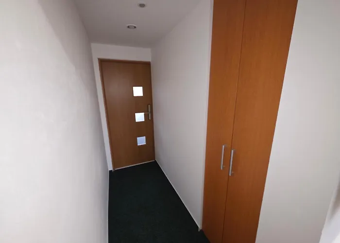 Apartament Apartmany Orlova Orłowa